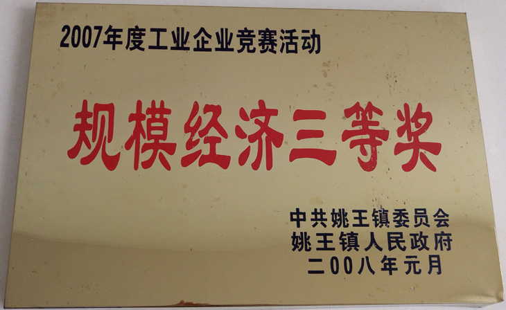 规模经济三等奖
